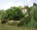 prev/41_Camargue.JPG