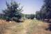 prev/Rom_Nizza_2004-014.jpg