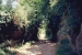 prev/Rom_Nizza_2004-016.jpg