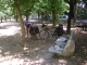 prev/DSCN2042.jpg