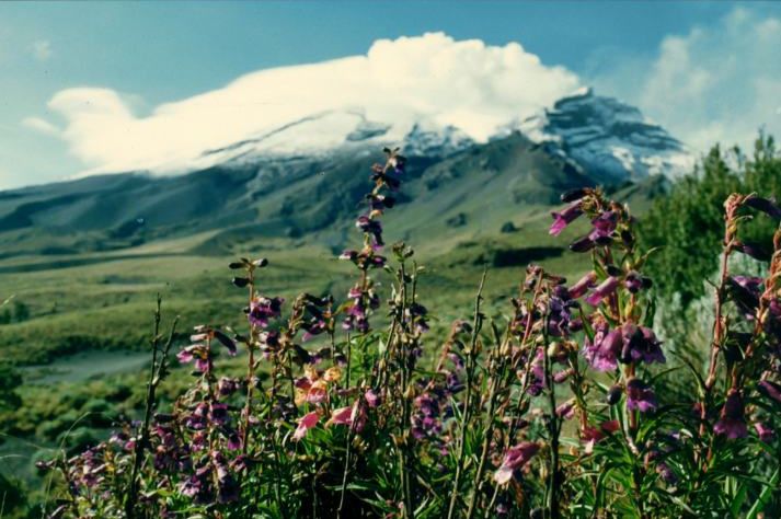 Hochebene am Popocatepetl bei Tlamacas