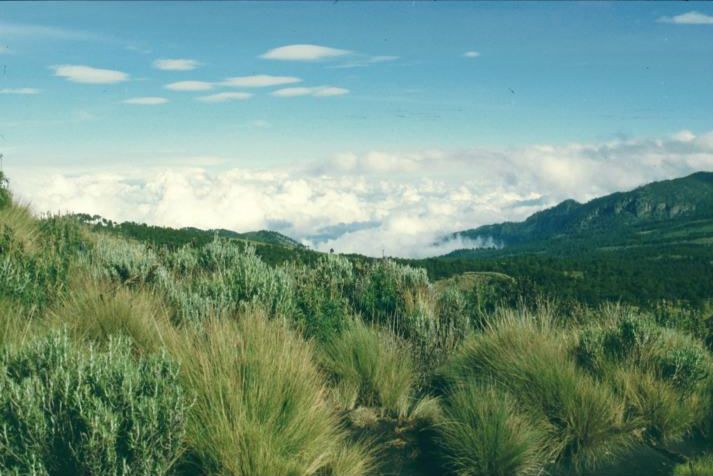 Blick �ber den Popo-Itxtac-Nationalpark in Richtung Mexico City